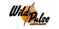 Travel Explorer Logo