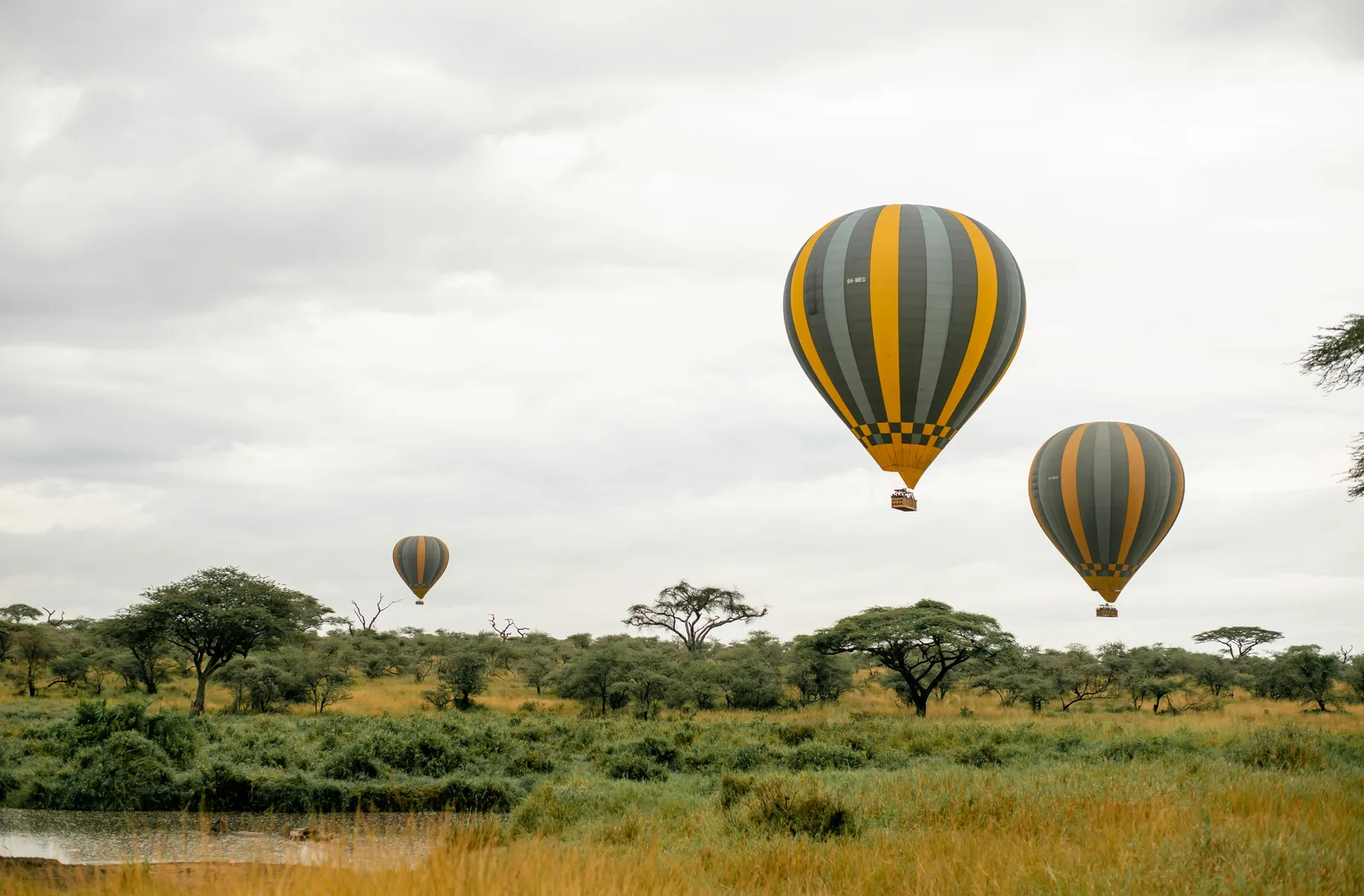 Hot Air Balloon Safari