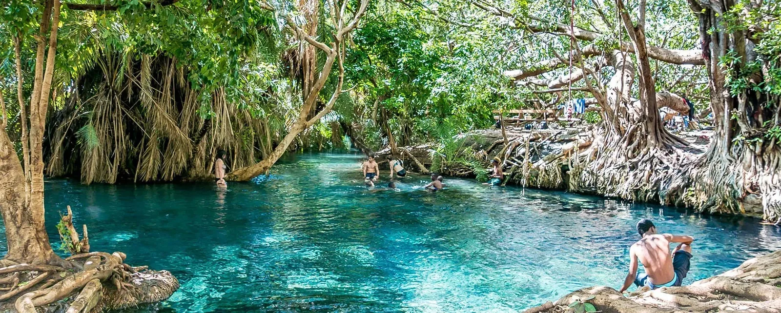Hot Springs and Wellness