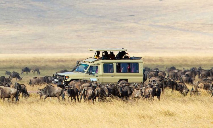 Serengeti