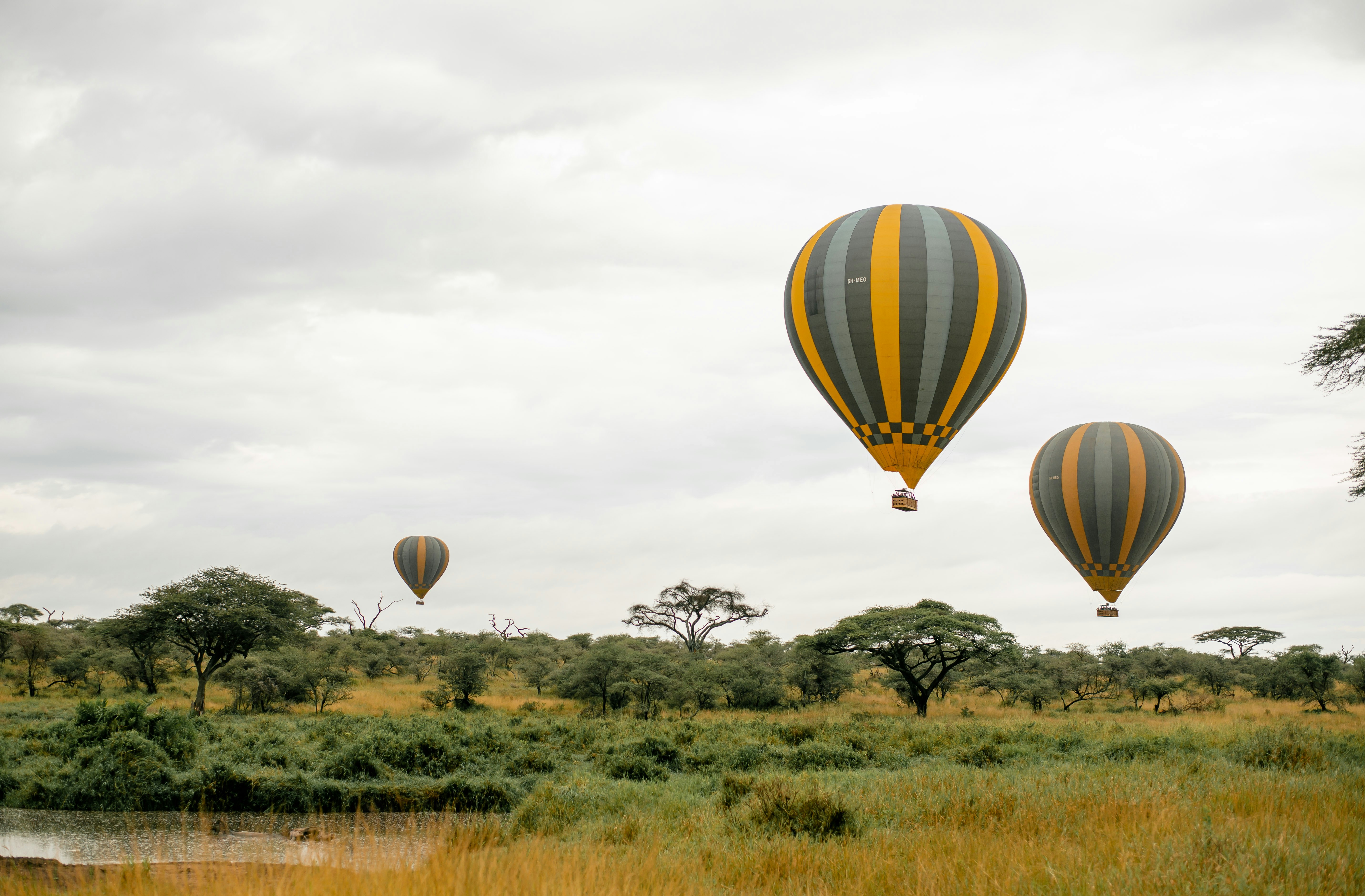 7 DAYS- NORTHERN TANZANIA SAFARI