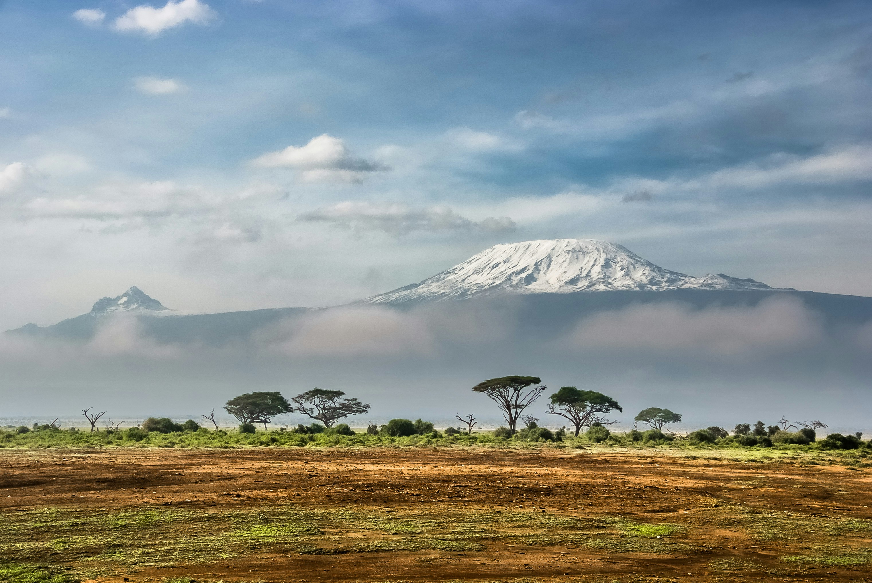 8 DAYS- KILIMANJARO DAY HIKE AND NORTHERN CIRCUIT SAFARI