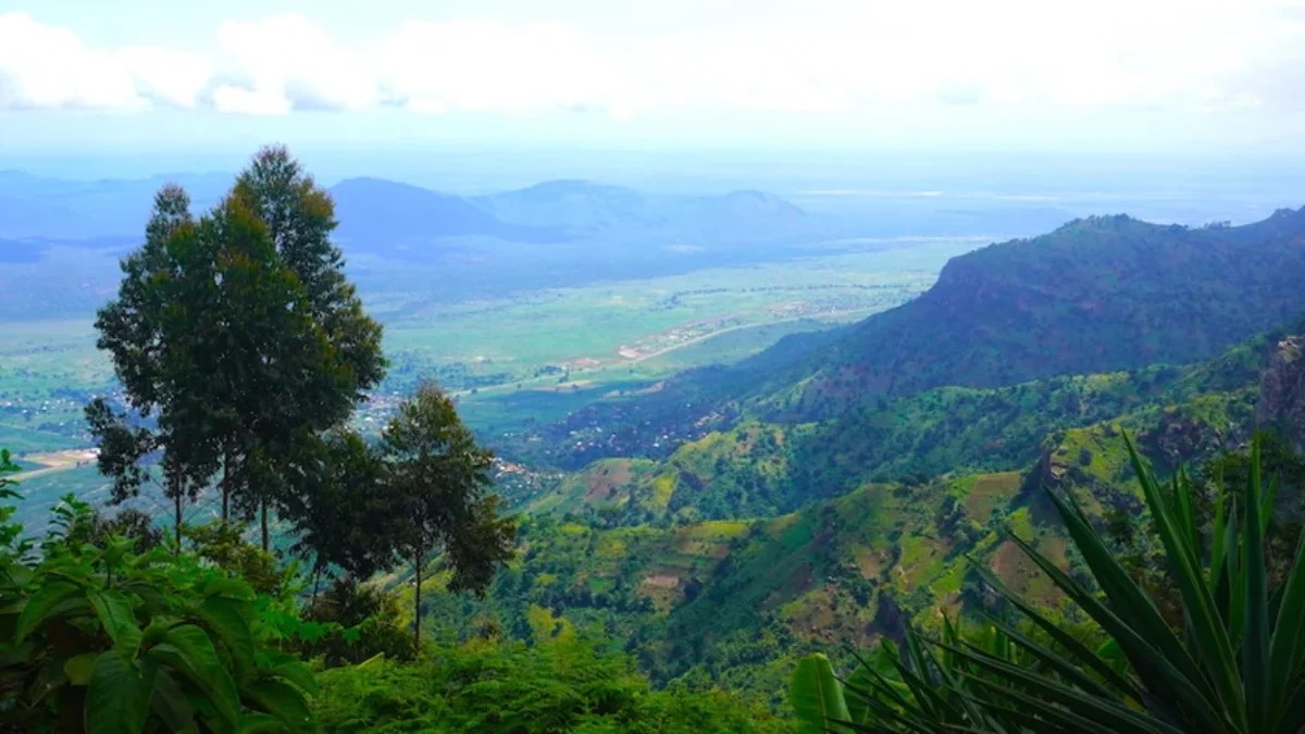 6 DAYS-LUSHOTO  NATURE  TOUR HIKING