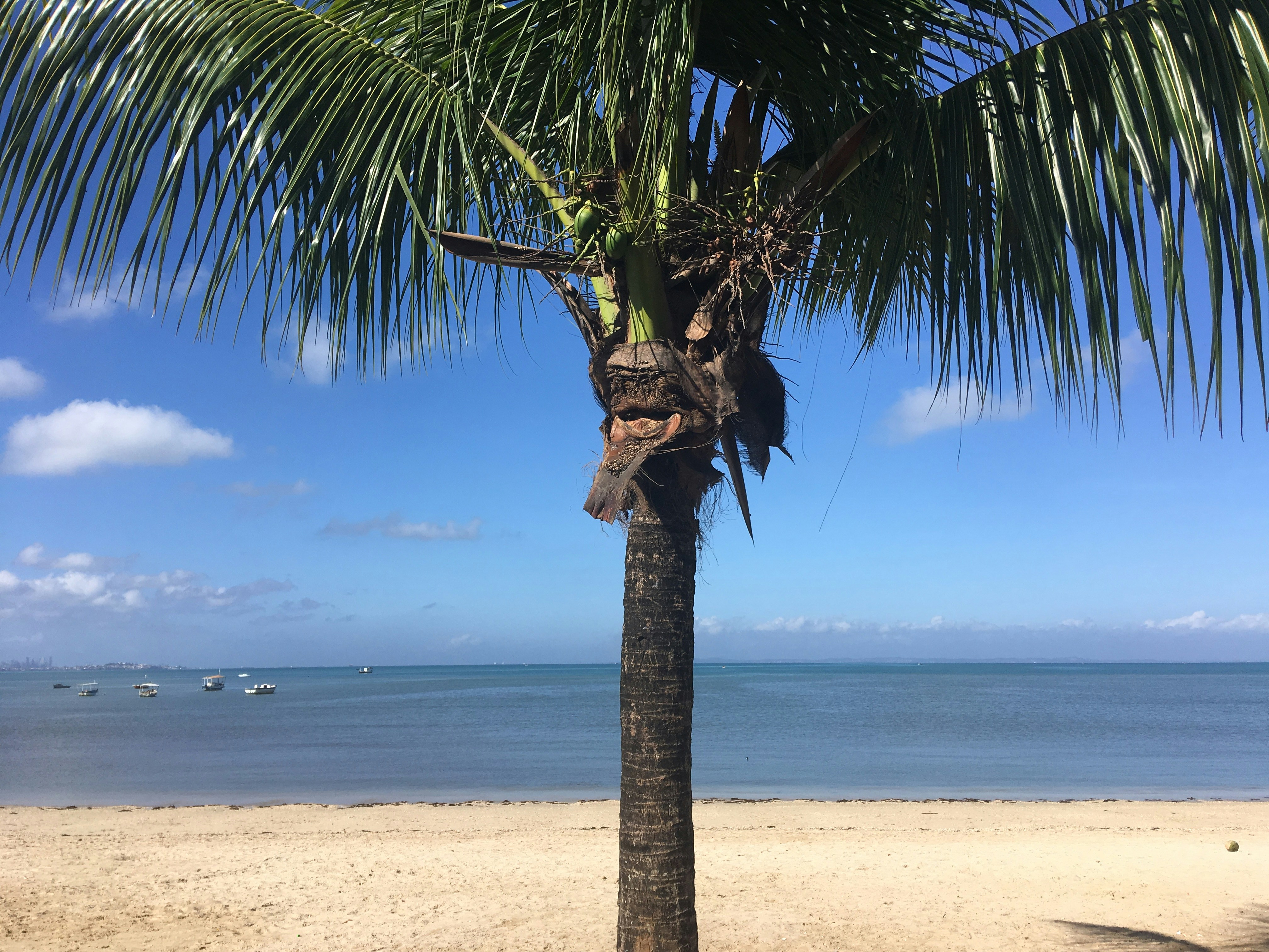 Beach Relaxation