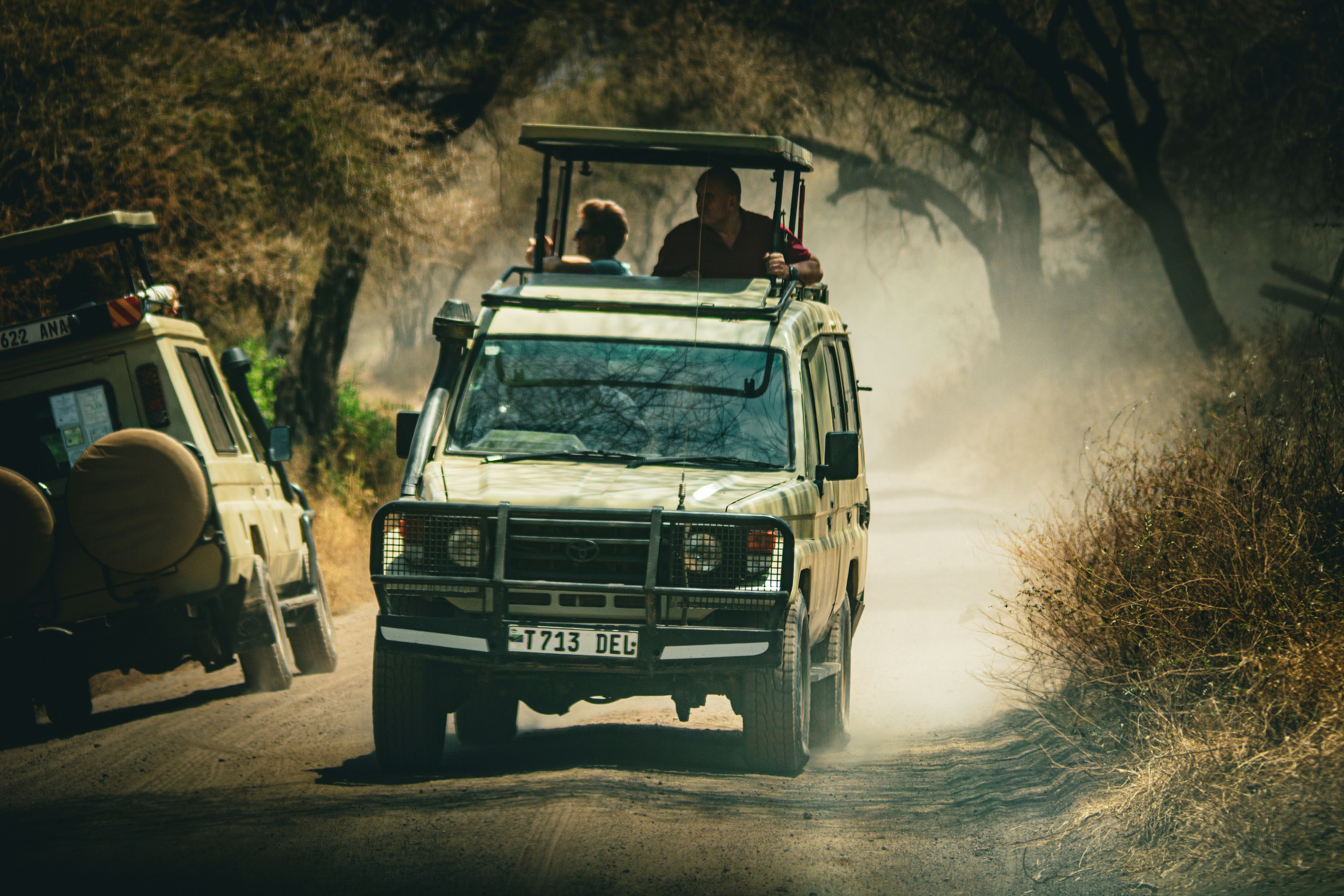 Safari